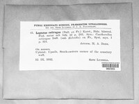 Image Associated With the Occurence